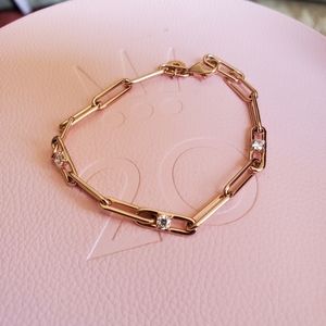 Pandora Rose Chained Bracelet